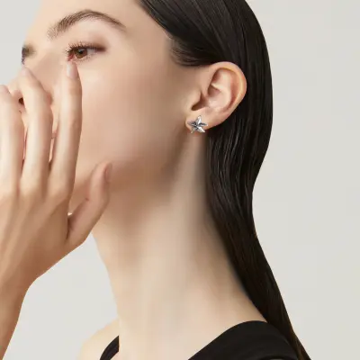 Starfish Small Earrings עגילים כסף