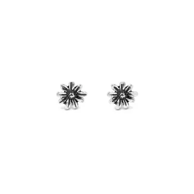 Daisies Small Earrings עגילים כסף