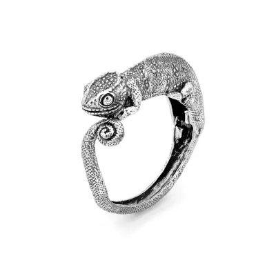 Chameleon Bracelet צמיד כסף