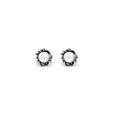 Anemone Stud Earrings עגילים כסף