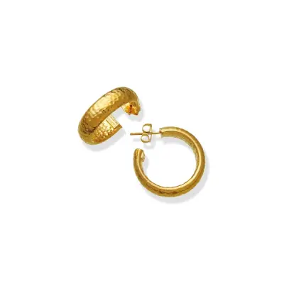 Moon Rock Small Earrings gold-plated עגילים כסף