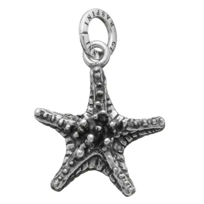 FAT STARFISH CHARM  תליון כסף