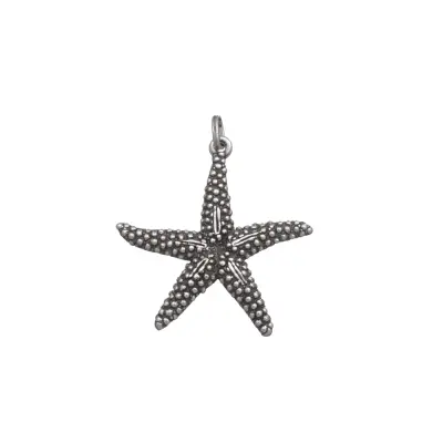 BIG STARFISH CHARM  תליון כסף