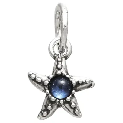 STARFISH COLOUR CHARM  תליון כסף