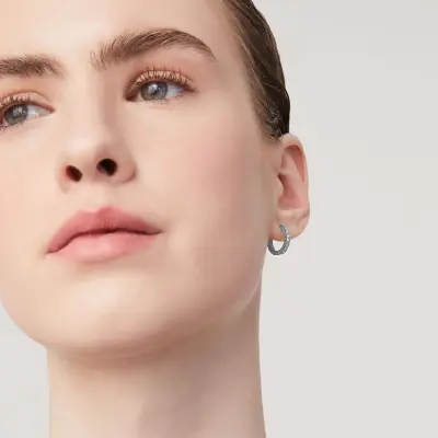 Huggie Crystal Earrings עגילים כסף