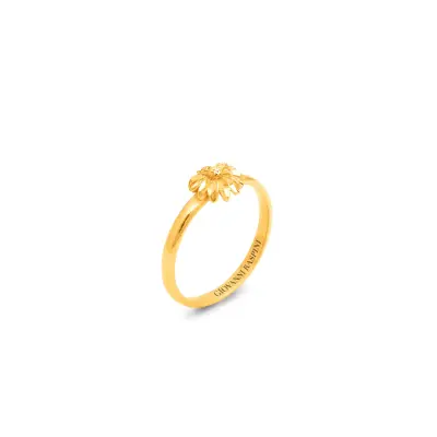 Daisy Dot Ring Gold-Plated טבעת כסף